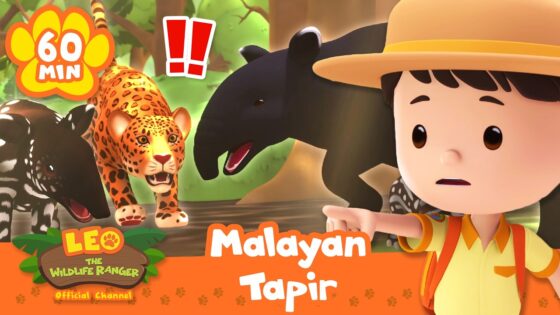 Cartoon safari boy points at a Malayan tapir and jungle animals in a kids' video thumbnail, with a 60 MIN label and leopard nearby.